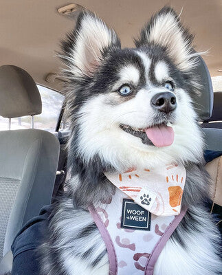 Sun & Rainbows Boho - Bandana | Reversible