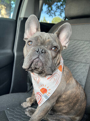 Sun & Rainbows Boho - Bandana | Reversible