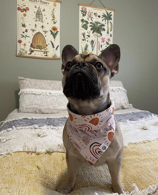 Sun & Rainbows Boho - Bandana | Reversible