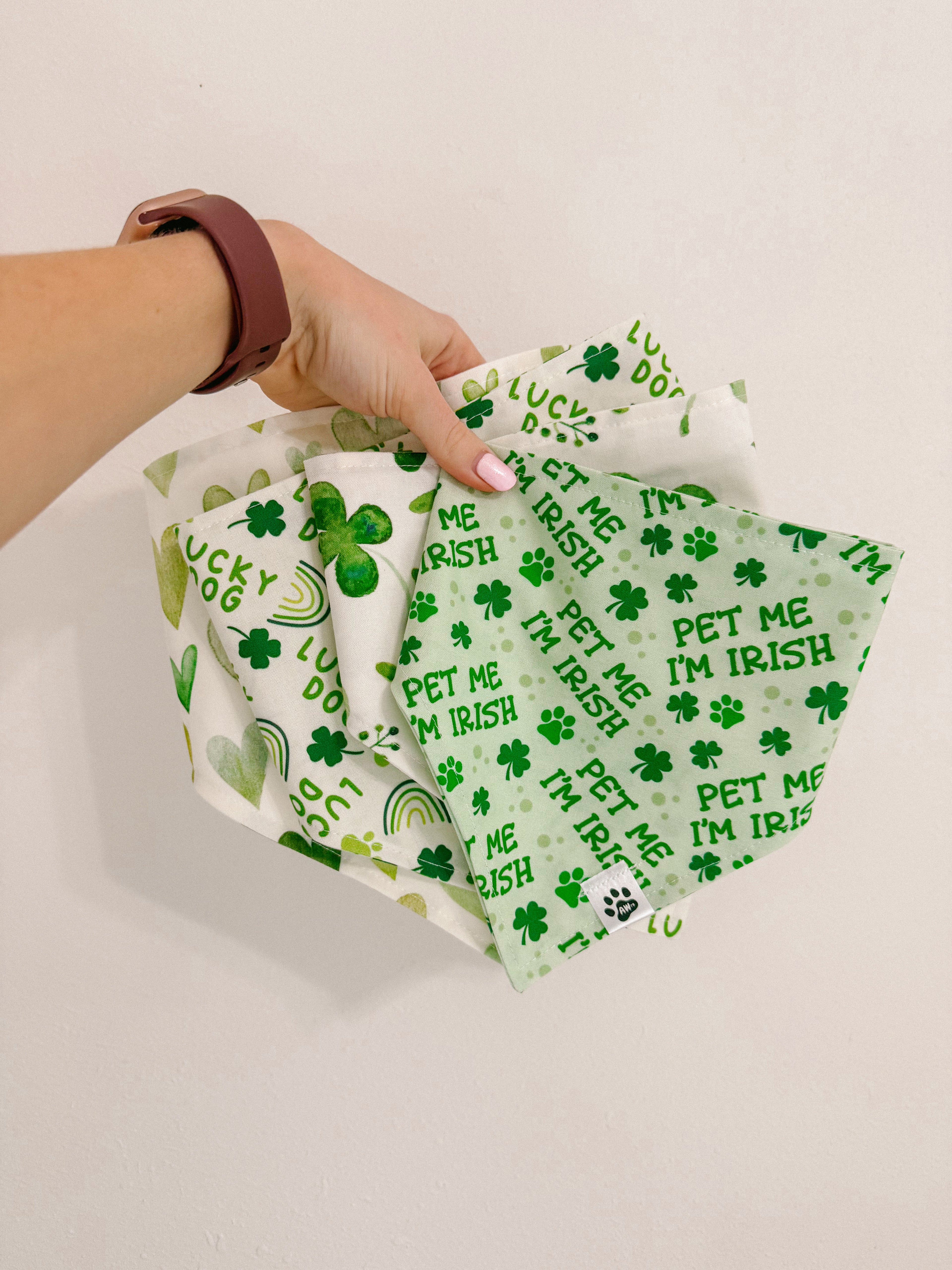 St. Patrick’s Day 🍀🎩💚