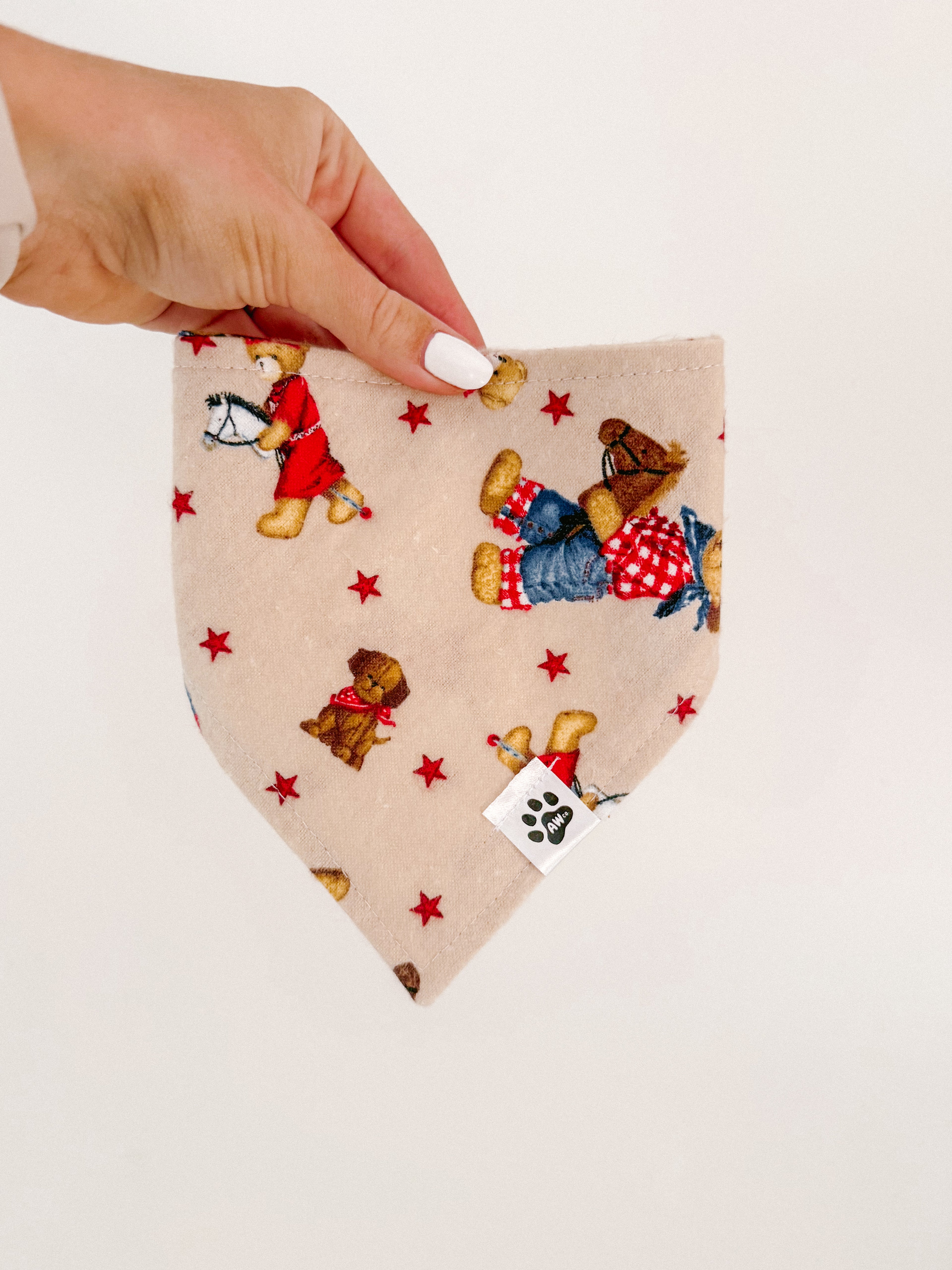 Cowboy Teddy - Snap On Bandana
