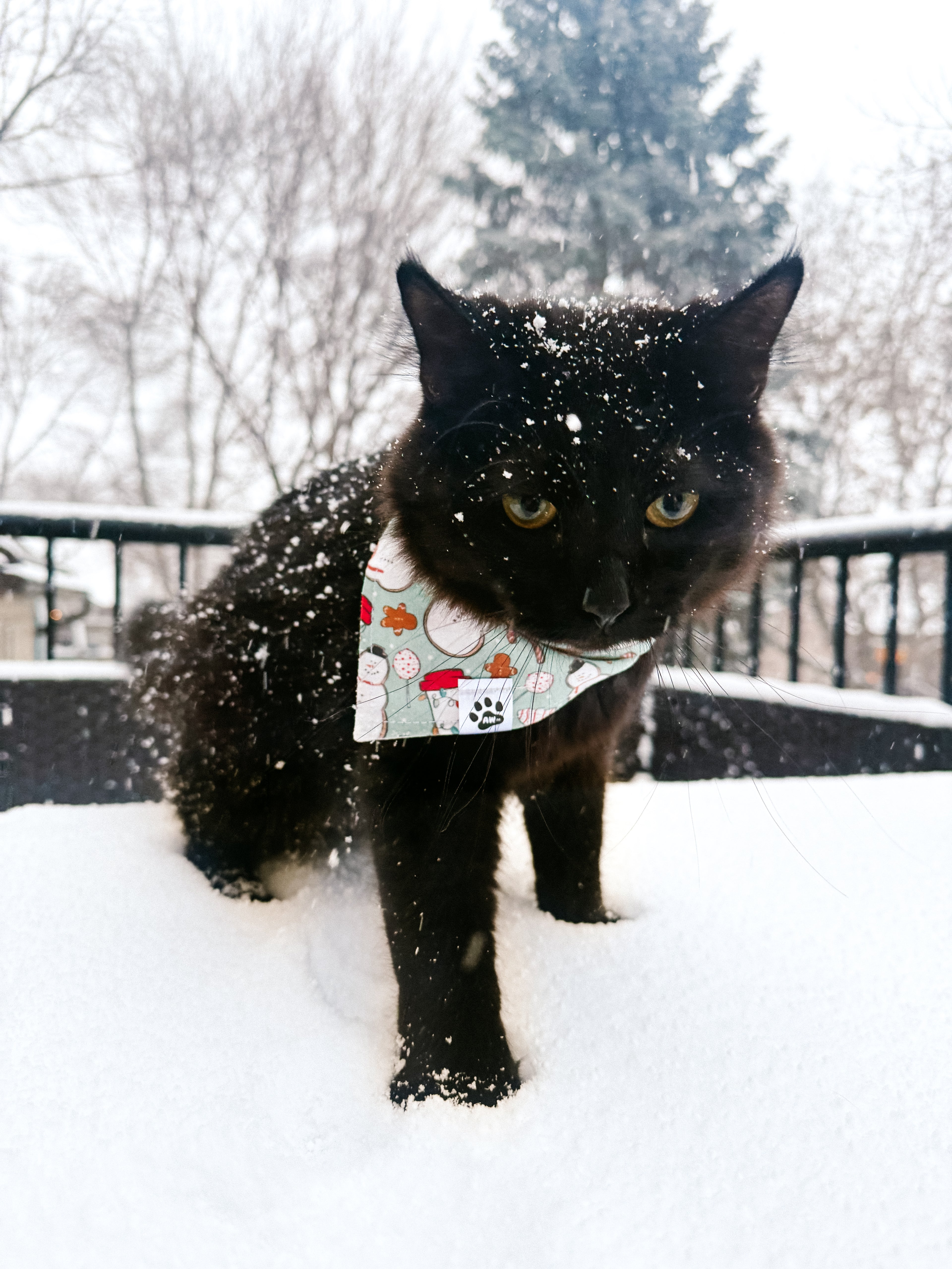 Christmas Coffee - Bandana