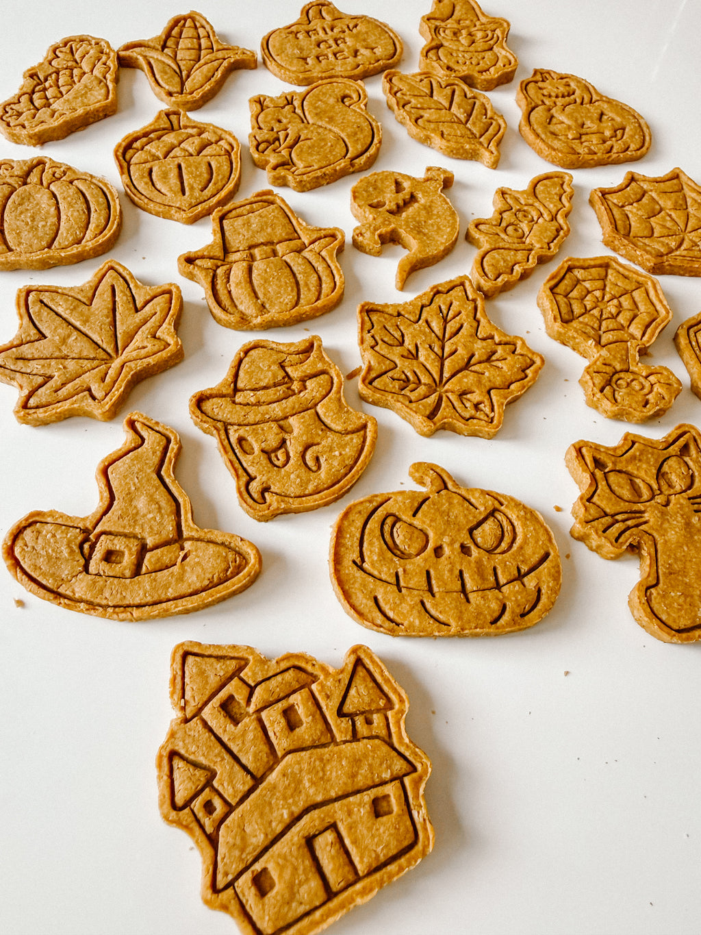 Homemade FALL Dog Treats