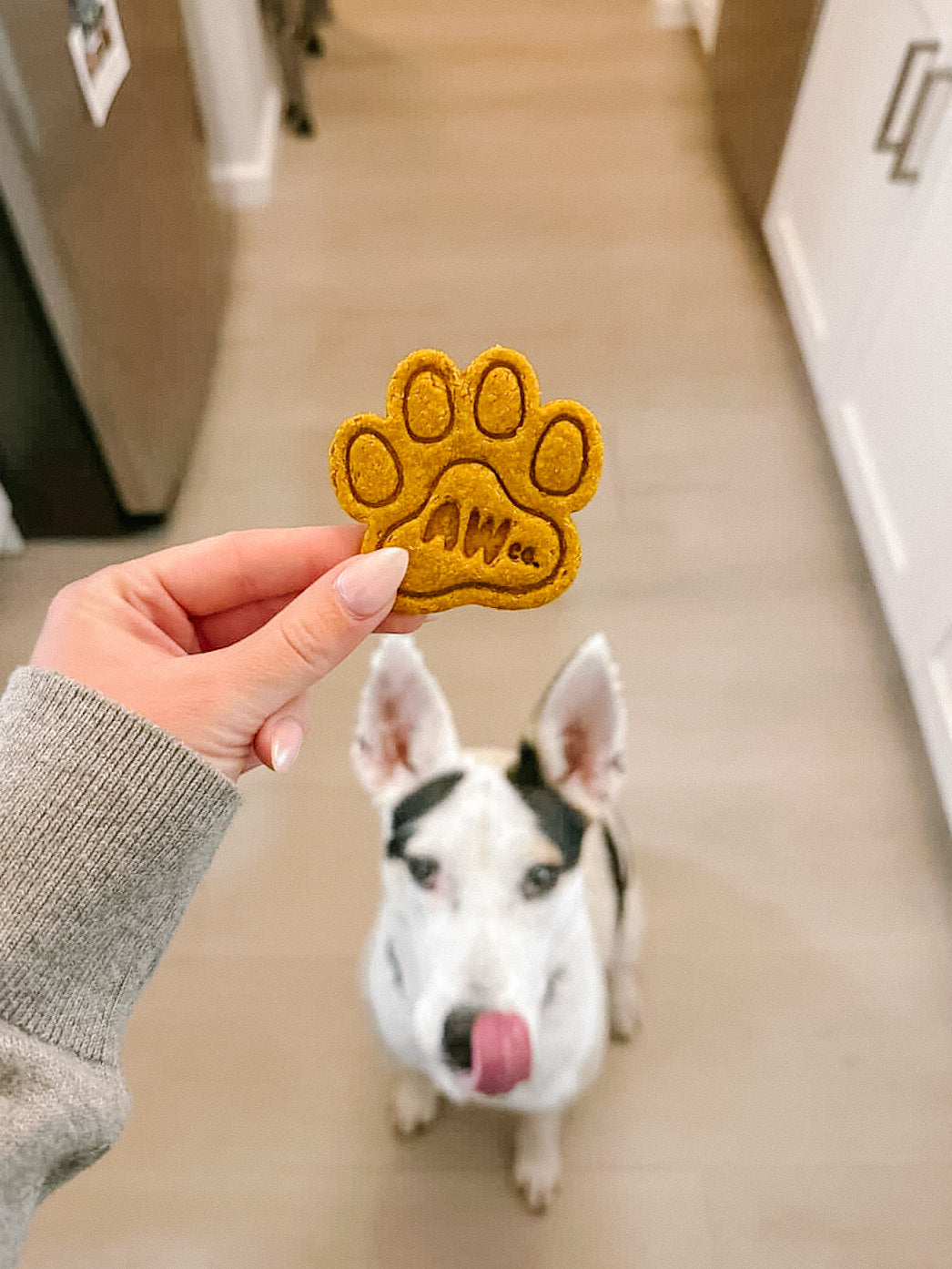 Homemade Branded Dog Cookie(s)