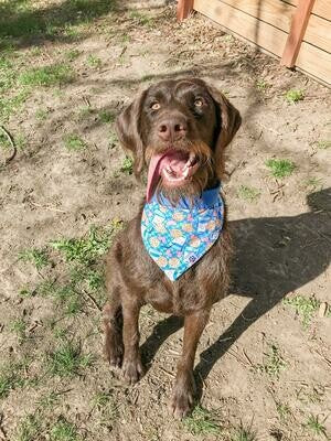 Milk n' Cookies - Bandana | Reversible