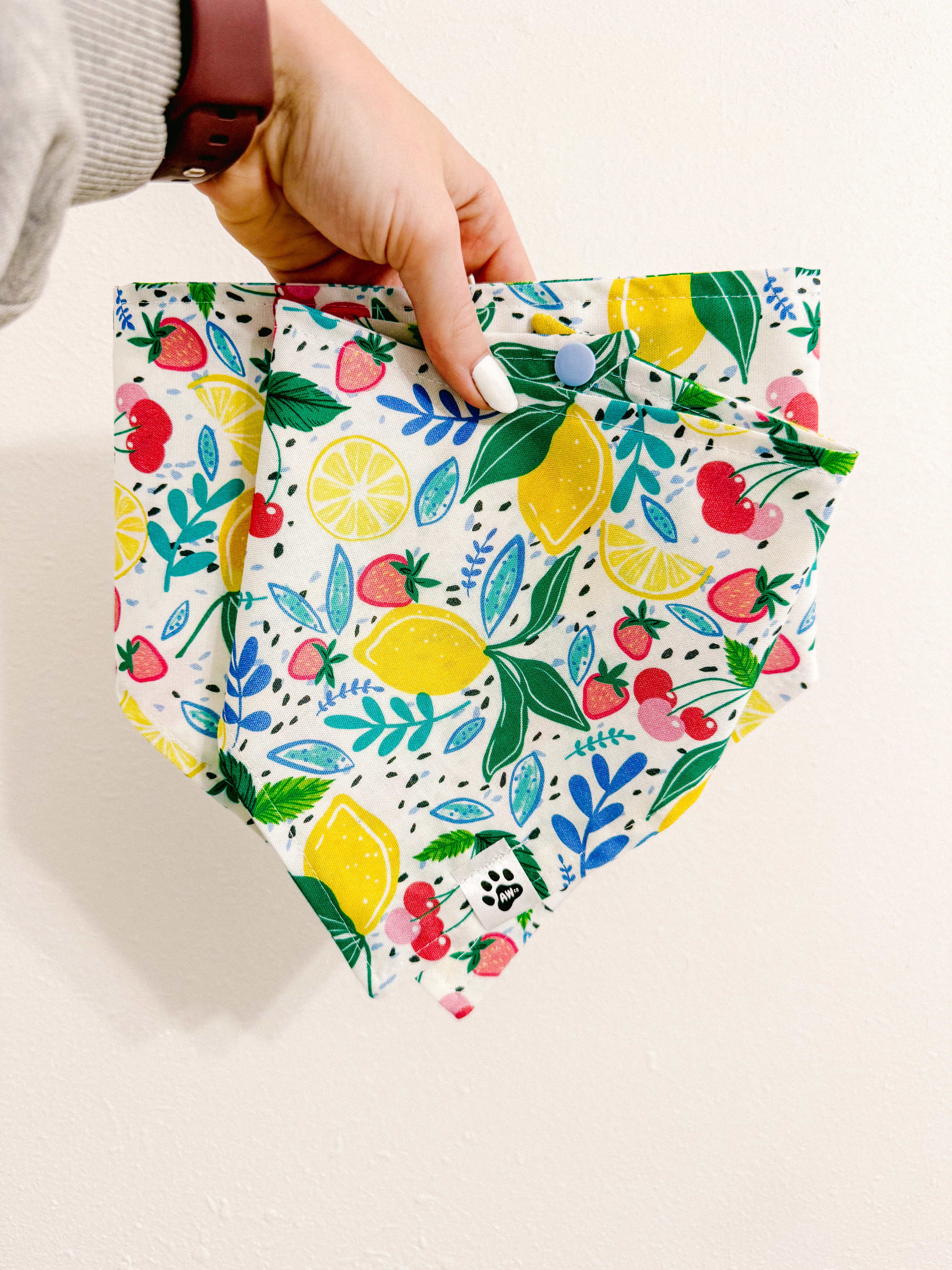 Citrus Berry Bliss - Snap On Bandana