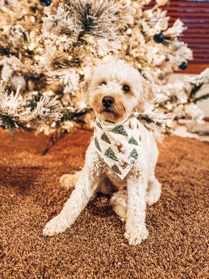 Reindeer & trees - Bandana | Reversible