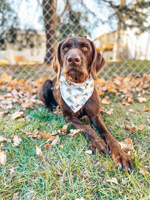 Reindeer & trees - Bandana | Reversible