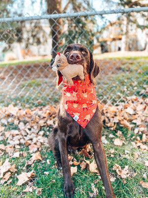 Reindeer & trees - Bandana | Reversible