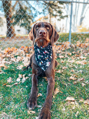 Holiday Llamas - Bandana | Reversible