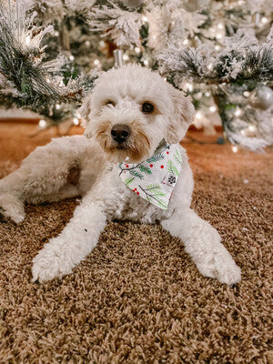 Reindeer & Mistletoe - Bandana | Reversible