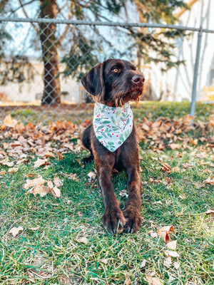 Reindeer & Mistletoe - Bandana | Reversible