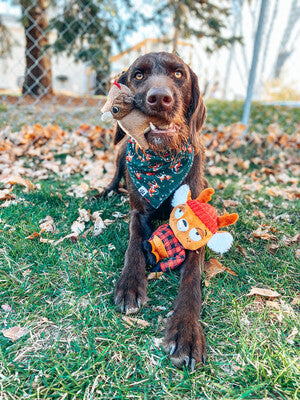Reindeer & Mistletoe - Bandana | Reversible
