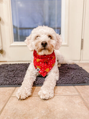 Reindeer & trees - Bandana | Reversible