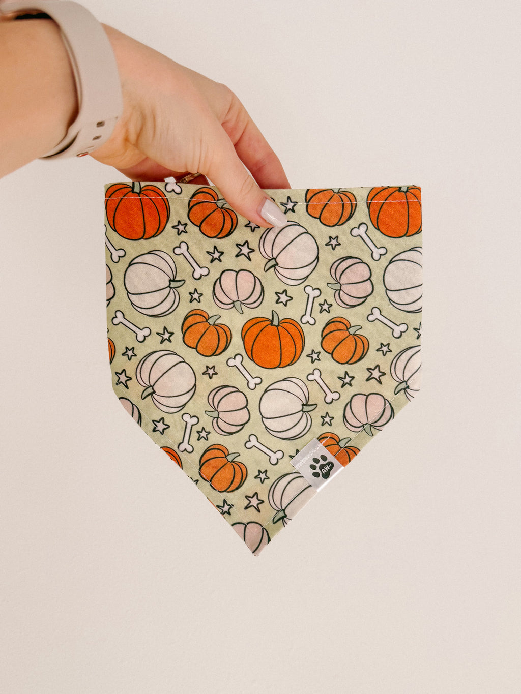 Pumpkin Bones