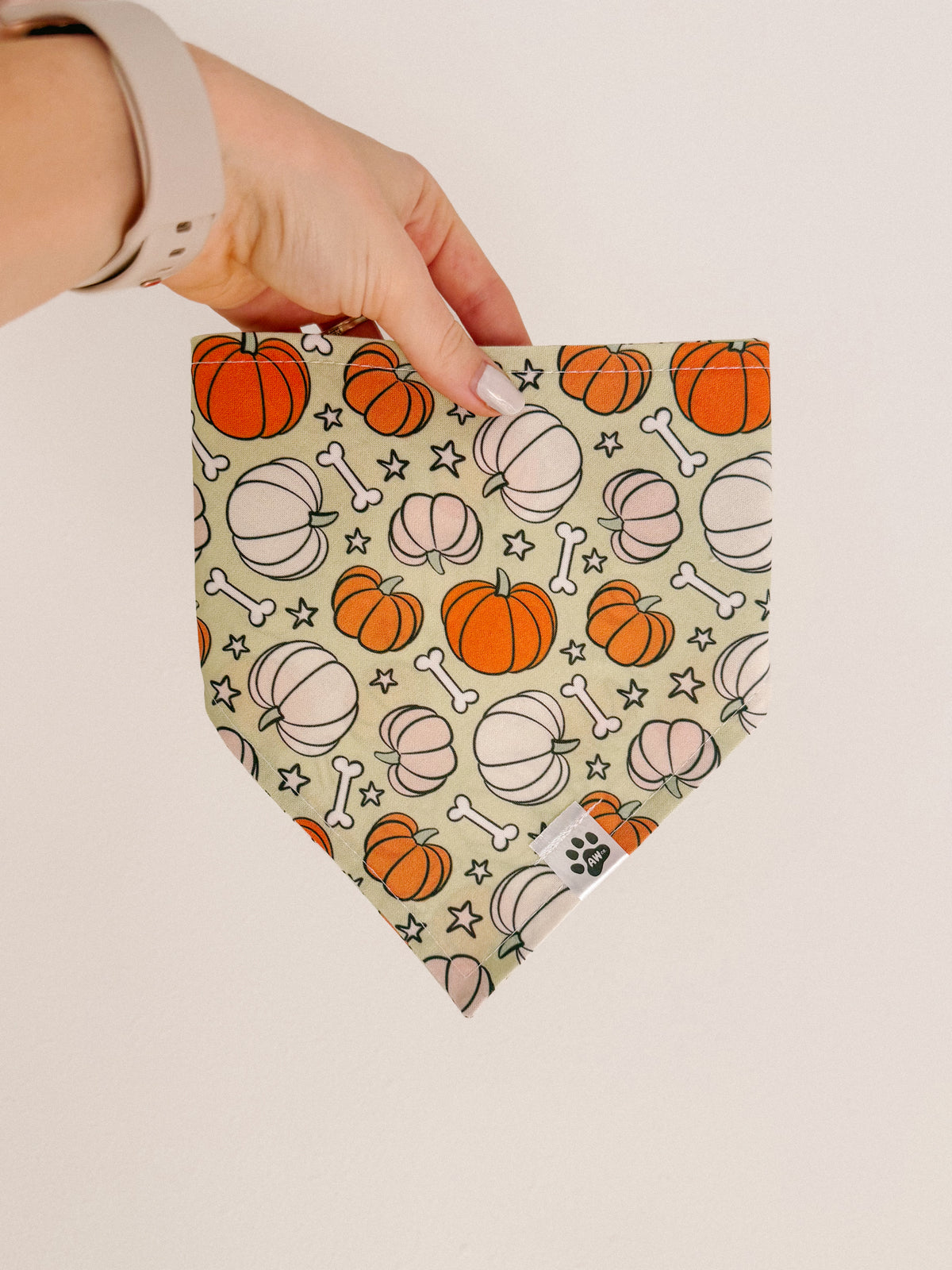 Pumpkin Bones