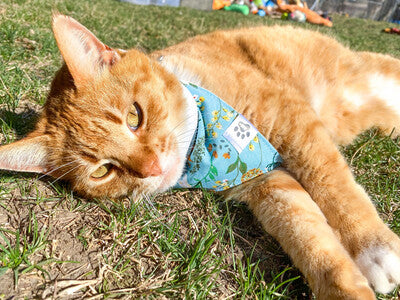 Wildflowers - Bandana | Reversible