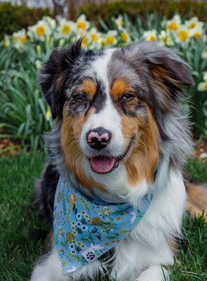 Wildflowers - Bandana | Reversible