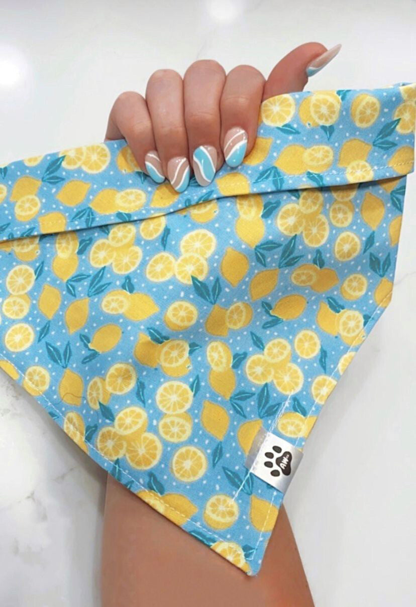 Lemon Dot - Bandana