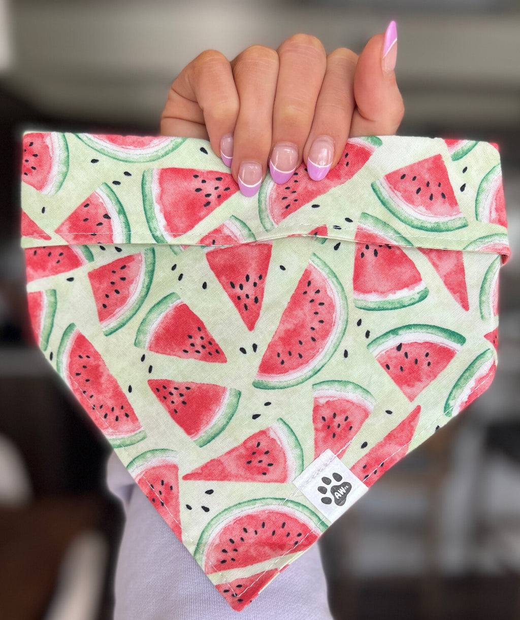 Watermelon | Bandana
