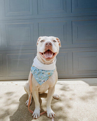 Wildflowers - Bandana | Reversible