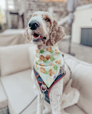 Pineapple On Blue - Bandana | Reversible