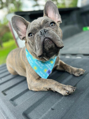 Suns Out Tongues Out Blue - Bandana | Reversible