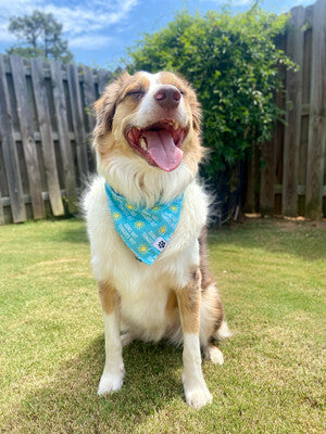 Suns Out Tongues Out Blue - Bandana | Reversible