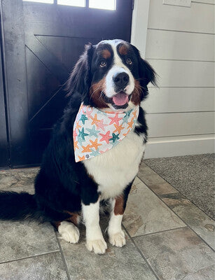 Starfish - Bandana