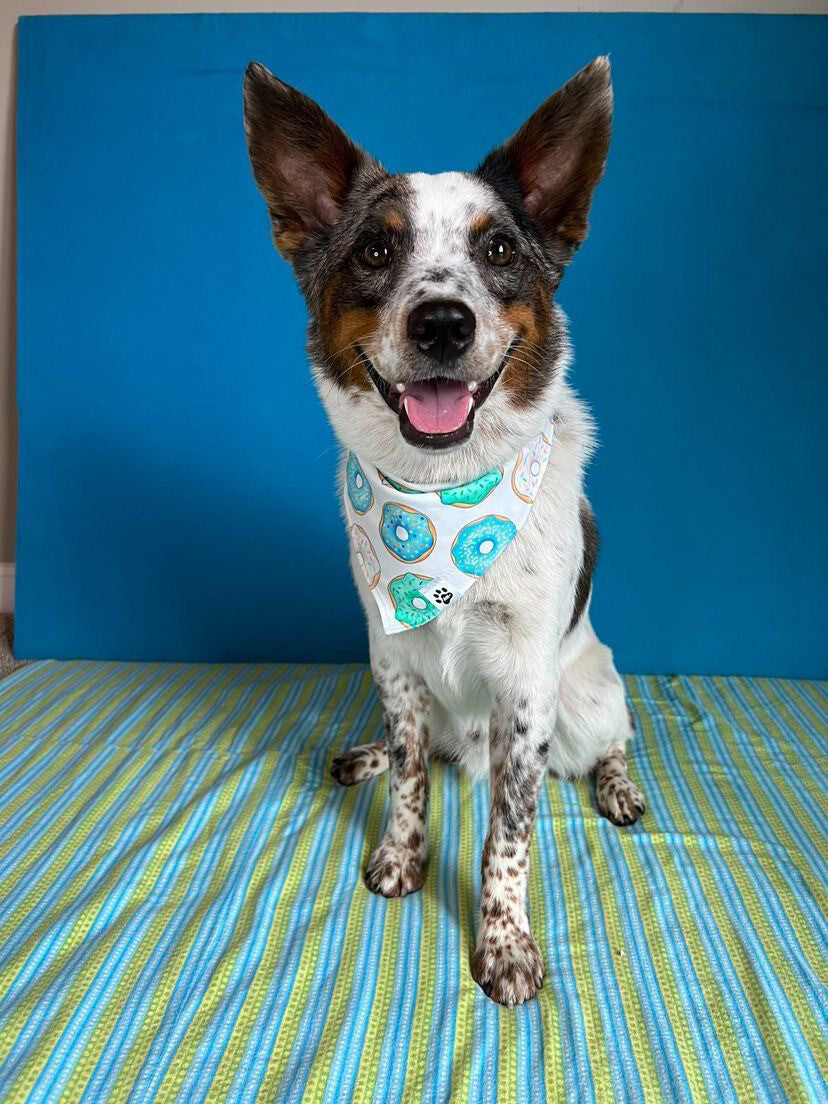 Iced Donuts - Bandana