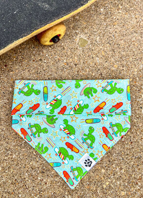 Skateboarding Turtles - Bandana