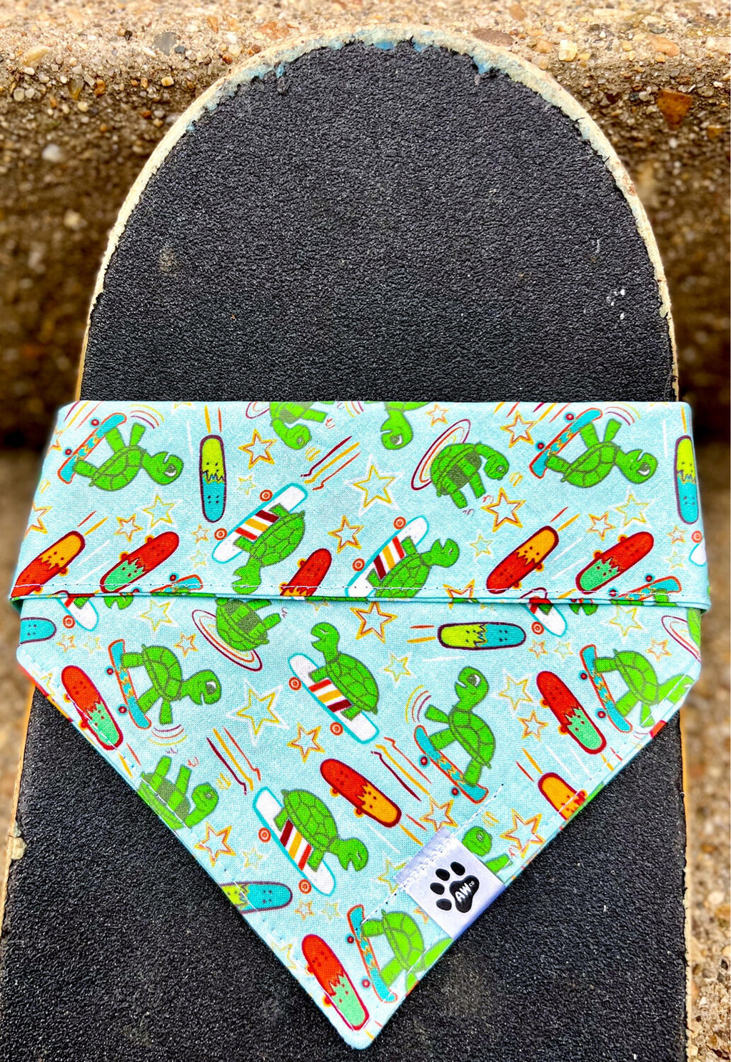 Skateboarding Turtles - Bandana