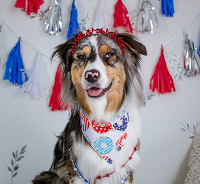 Patriotic Donuts & Stars | Bandana - Reversible
