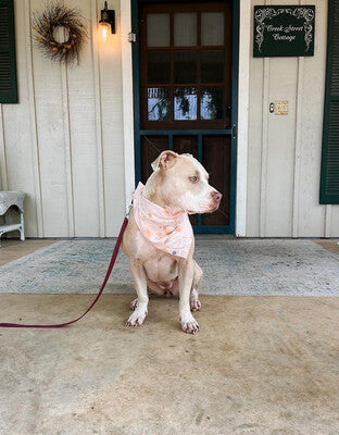 Summer Surfboards Boho - Bandana