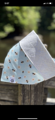 Mystery Bandana