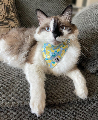 Lemon Dot - Bandana