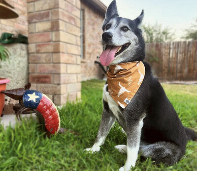 Boho Cow Skulls - Bandana