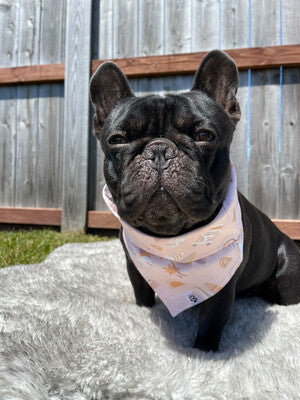 Summer Surfboards Boho - Bandana