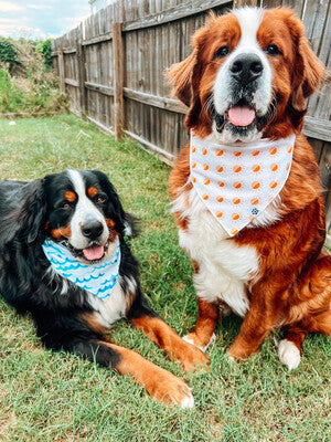 Ocean Waves - Bandana 