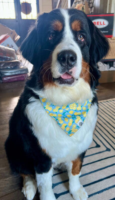 Lemon Dot - Bandana