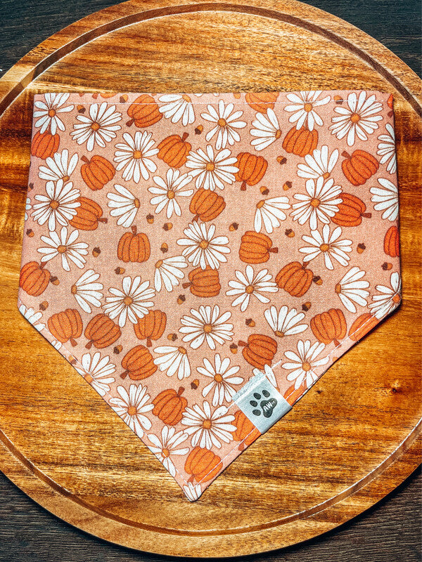 Daisy Pumpkins - Bandana