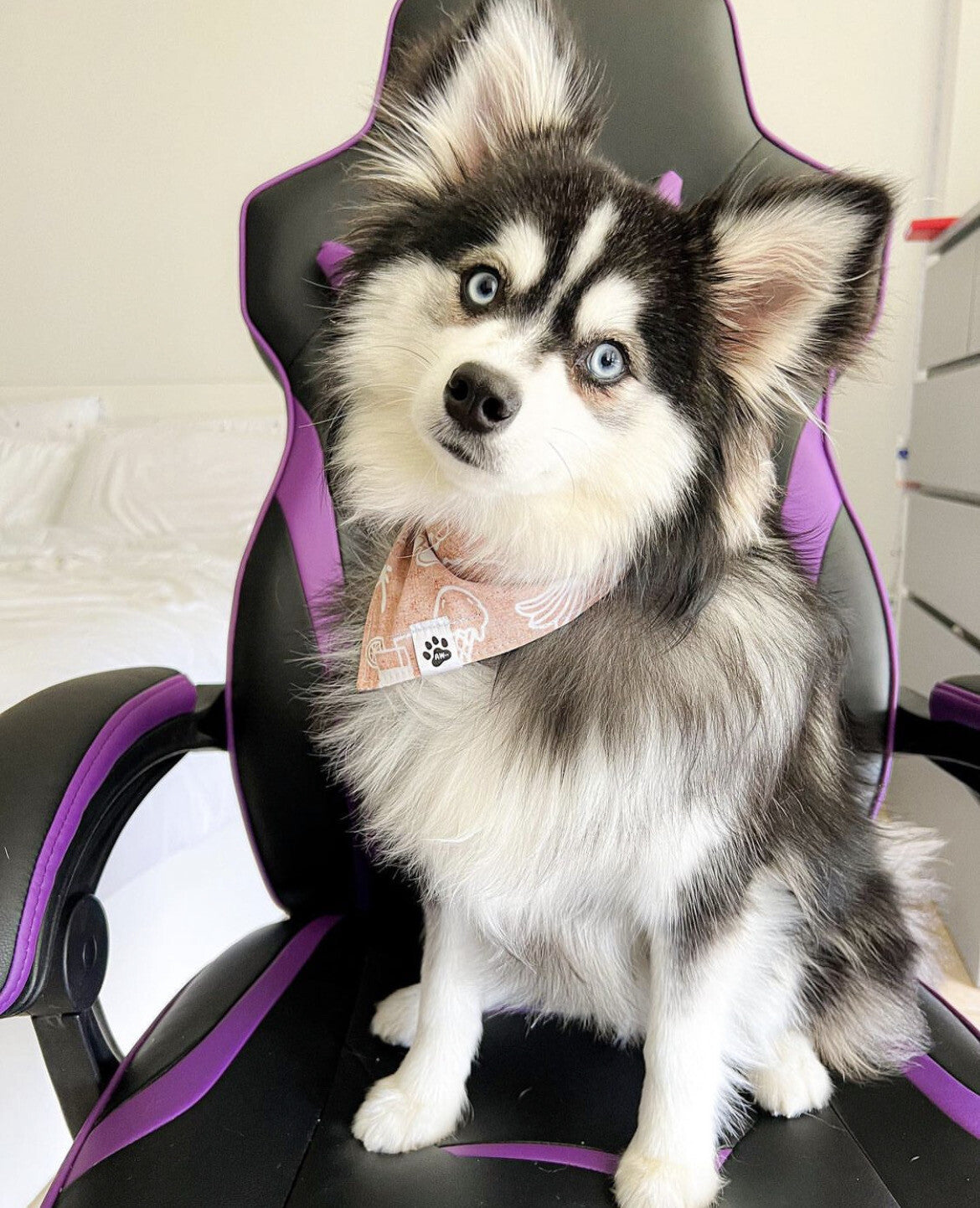 Summer Vibes/ Sand / PRE ORDER