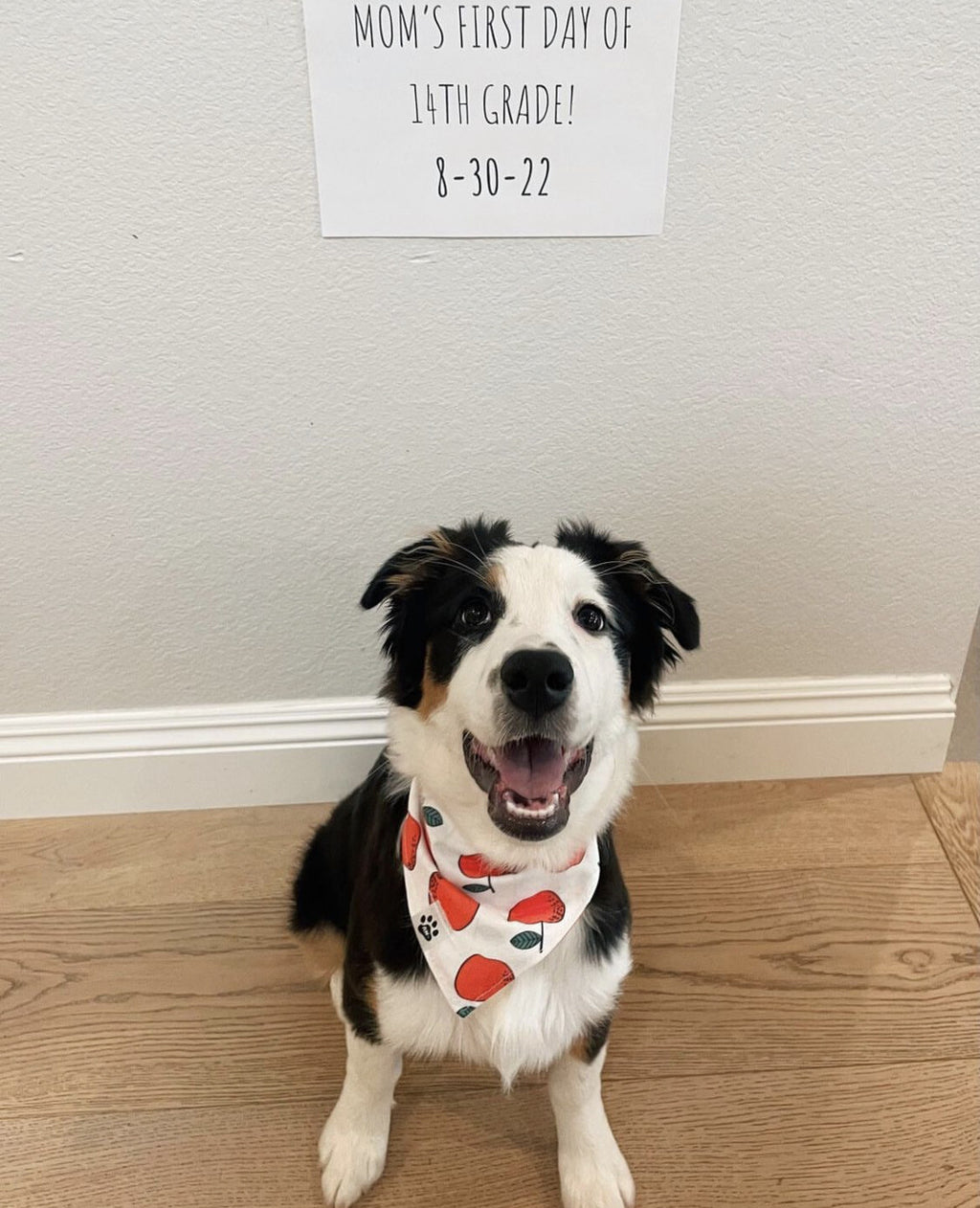 Red Apples - Bandana