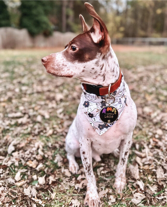 Floral Halloween Ghosts - bandana