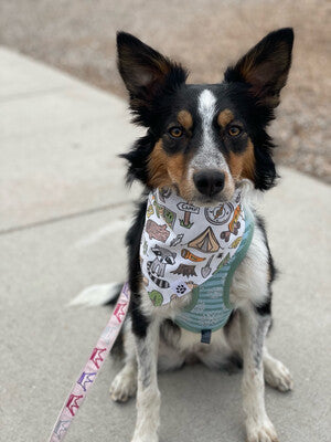 Camping Woodland - bandana