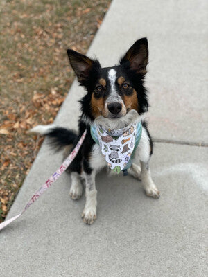 Camping Woodland - bandana