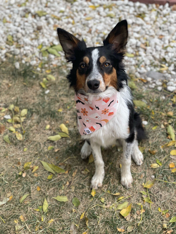 Spooky Babe - bandana