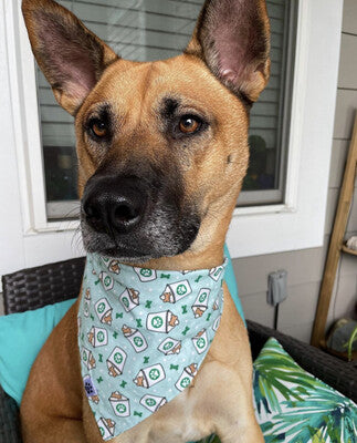 Pup Cup - Bandana