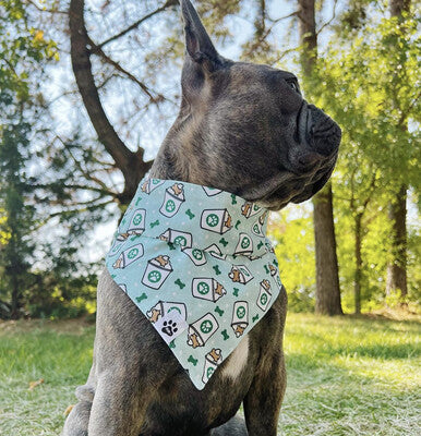 Pup Cup - Bandana