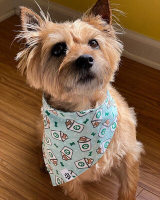 Pup Cup - Bandana